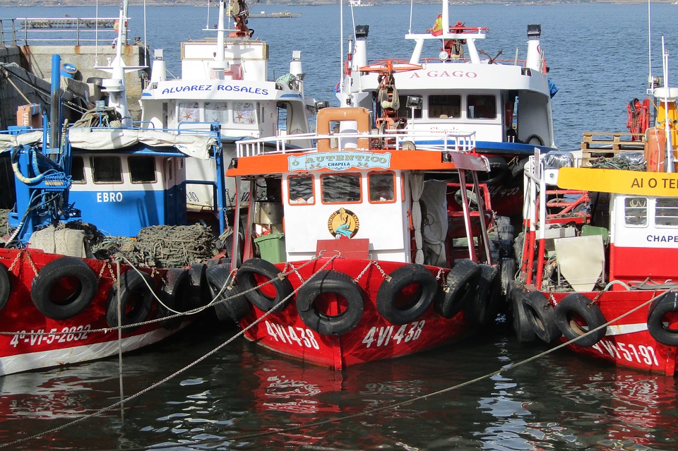 ayudas a la pesca galicia pontevedra vigo asesoría abogados asesores